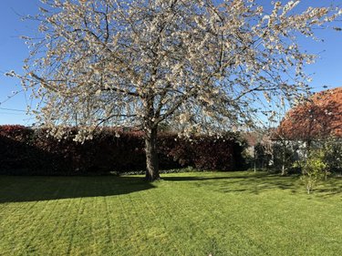 Maison a vendre Beaumont-en-Cambrésis 59540 Nord 186 m2 9 pièces 241040 euros