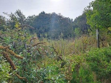 Maison a vendre Guemps 62370 Pas-de-Calais 116 m2 9 pièces 136180 euros