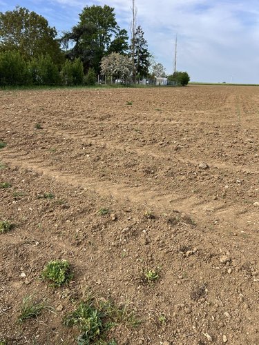 Terrain a batir a vendre Binas 41240 Loir-et-Cher 1104 m2  28000 euros