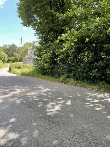 Terrains de loisirs bois etangs a vendre Ploemeur 56270 Morbihan 10363 m2  4000 euros
