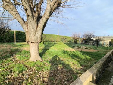 Maison a vendre Pierrelatte 26700 Drôme 177 m2  366000 euros