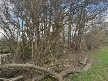 Terrains de loisirs bois etangs a vendre Cuves 50670 Manche 4900 m2  5300 euros