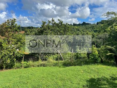 Terrain a batir a vendre Ducos 97224 Martinique 1405 m2  170000 euros