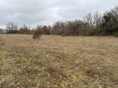 Terrains de loisirs bois etangs a vendre Saint-Jean-d'Alcapiès 12250 Aveyron 80070 m2  54000 euros