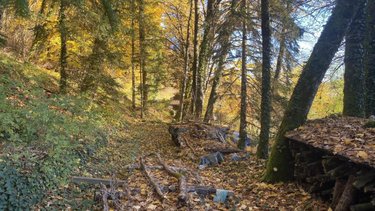 Maison a vendre Montanges 01200 Ain 217 m2  395000 euros