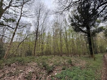 Divers a vendre Fumichon 14590 Calvados 17939 m2  19500 euros