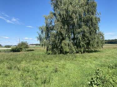 Terrain a batir a vendre Amilly 45200 Loiret 1612 m2  55000 euros