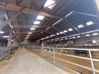 Divers a vendre Cossé-le-Vivien 53230 Mayenne 117 m2  825000 euros