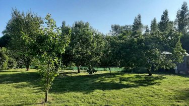 Maison a vendre Saint-Jean-Trolimon 29120 Finistère 113 m2 5 pièces 305000 euros