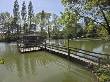 Terrains de loisirs bois etangs a vendre La Roche-Neuville 53200 Mayenne 31445 m2  95700 euros