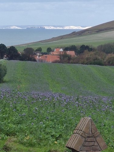 Maison a vendre Escalles 62179 Pas-de-Calais 212 m2 7 pièces 1032280 euros