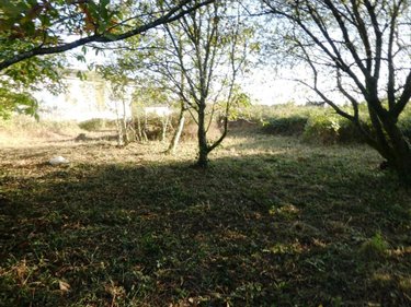 Terrain a batir a vendre Saint-Caradec-Trégomel 56540 Morbihan 1030 m2  12790 euros