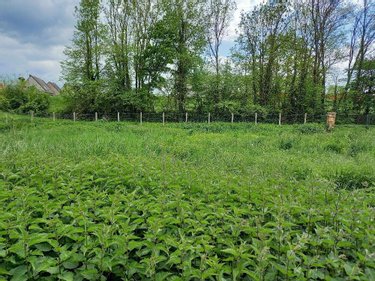 Terrains de loisirs bois etangs a vendre Fère-en-Tardenois 02130 Aisne 993 m2  8500 euros