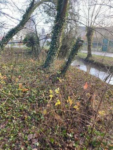 Terrains de loisirs bois etangs a vendre Aubigny-en-Artois 62690 Pas-de-Calais 1844 m2  21200 euros