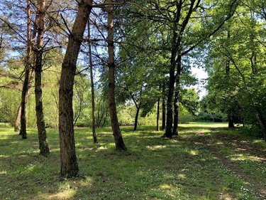 Terrains de loisirs bois etangs a vendre Parcé-sur-Sarthe 72300 Sarthe 10610 m2  26750 euros