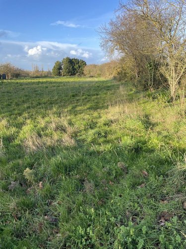 Maison a vendre Plouézec 22470 Côtes-d'Armor 78 m2 4 pièces 156900 euros