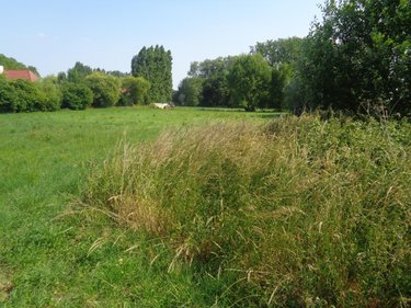 Maison a vendre Busnes 62350 Pas-de-Calais 88 m2 5 pièces 126500 euros