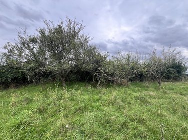 Terrains de loisirs bois etangs a vendre Lunay 41360 Loir-et-Cher 2855 m2  11800 euros