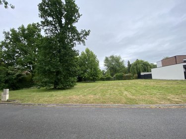 Terrain a batir a vendre Proville 59267 Nord 1151 m2  159296 euros