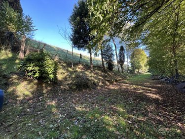 Terrains de loisirs bois etangs a vendre Corps-Nuds 35150 Ille-et-Vilaine 7700 m2  18000 euros