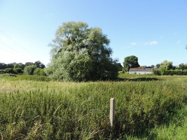 Terrains de loisirs bois etangs a vendre Évron 53600 Mayenne 8648 m2  91149 euros