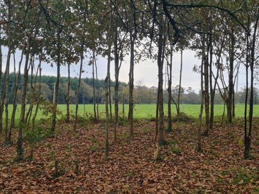 Maison a vendre Moréac 56500 Morbihan 77 m2  99620 euros