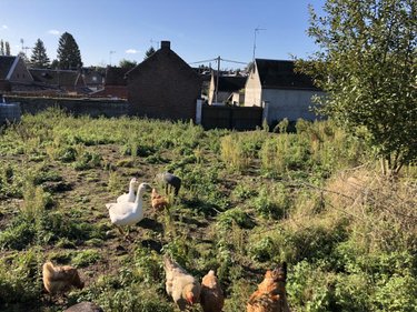 Terrain a batir a vendre Beauvois-en-Cambrésis 59157 Nord 902 m2  38360 euros