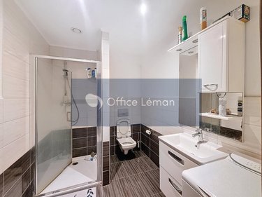 Immeuble a vendre Ségny 01170 Ain 310 m2  1200000 euros