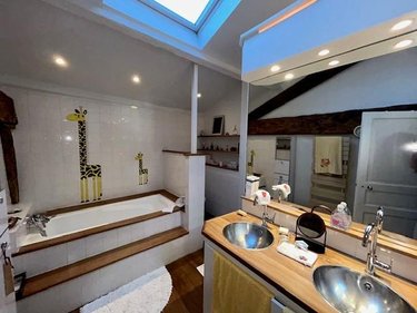 Viager maison Riom 63200 Puy-de-Dôme 320 m2 14 pièces 477750 euros