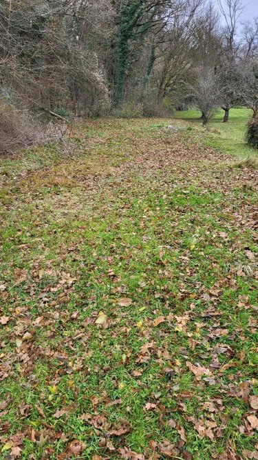 Terrain a batir a vendre Bart 25420 Doubs 3700 m2  99000 euros