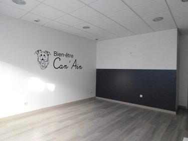 Appartement a vendre Poncin 01450 Ain 57 m2  60000 euros