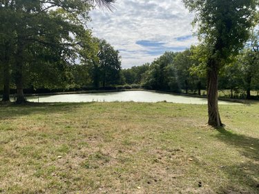 Terrains de loisirs bois etangs a vendre Saint-Georges-de-Pointindoux 85150 Vendée 9800 m2  48150 euros