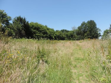 Maison a vendre Plougonver 22810 Côtes-d'Armor 73 m2 4 pièces 27700 euros