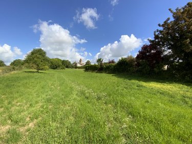 Terrain a batir a vendre Lavannes 51110 Marne 500 m2  94500 euros