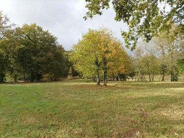 Terrains de loisirs bois etangs a vendre Plumaudan 22350 Côtes-d'Armor 5908 m2  39700 euros