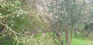 Terrain a batir a vendre Plougonvelin 29217 Finistère 1172 m2  360692 euros