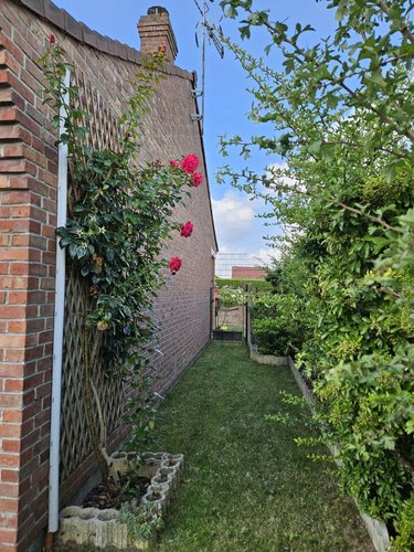 Location maison Oignies 62590 Pas-de-Calais 113 m2 6 pièces 1295 euros