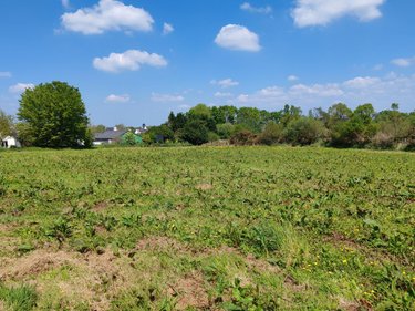 Terrain a batir a vendre Pleyber-Christ 29410 Finistère 1203 m2  51120 euros