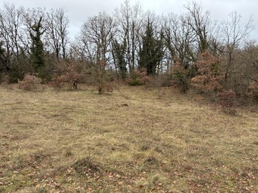 Terrains de loisirs bois etangs a vendre Saint-Jean-d'Alcapiès 12250 Aveyron 80070 m2  54000 euros