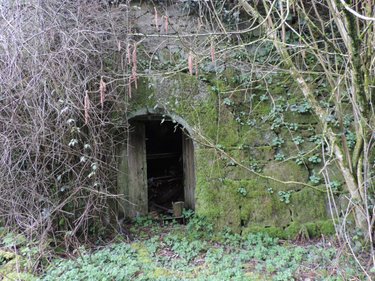 Maison a vendre La Chapelle-Neuve 22160 Côtes-d'Armor 38 m2  37700 euros