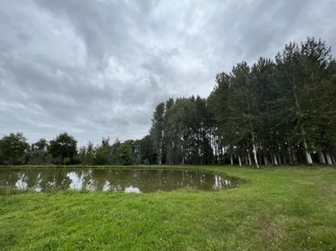 Divers a vendre Caulnes 22350 Côtes-d'Armor 17094 m2  53490 euros