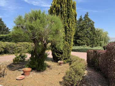 Maison a vendre Chinon 37500 Indre-et-Loire 127 m2 5 pièces 242100 euros