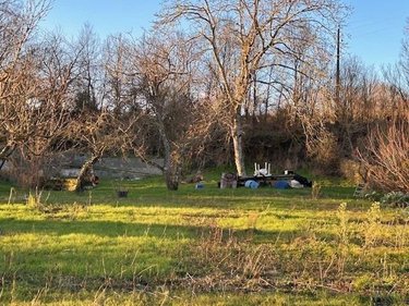 Terrain a batir a vendre Fontevraud-l'Abbaye 49590 Maine-et-Loire 1336 m2  40000 euros