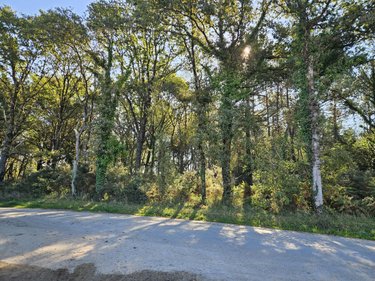 Terrains de loisirs bois etangs a vendre Locoal-Mendon 56550 Morbihan 5935 m2  10000 euros