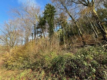 Terrains de loisirs bois etangs a vendre La Vespière Friardel 14290 Calvados 8471 m2  9971 euros