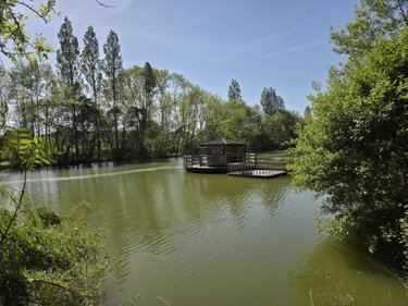 Terrains de loisirs bois etangs a vendre La Roche-Neuville 53200 Mayenne 31445 m2  95700 euros