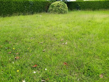 Terrain a batir a vendre Champigné 49330 Maine-et-Loire 385 m2  31800 euros