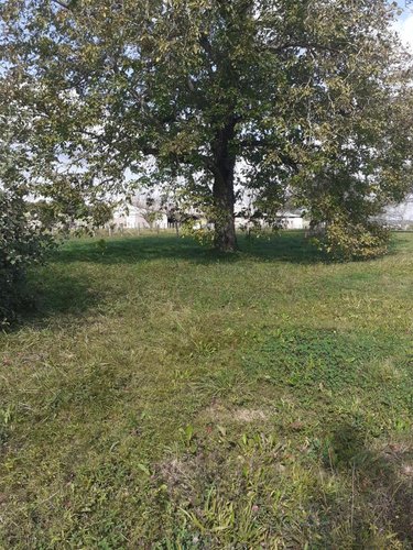 Terrain a batir a vendre Buthiers 70190 Haute-Saône 890 m2  67000 euros