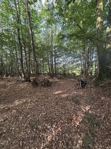 Terrains de loisirs bois etangs a vendre Avranches 50300 Manche 3490 m2  5290 euros