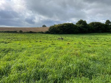 Terrains de loisirs bois etangs a vendre Reffuveille 50520 Manche 18240 m2  21800 euros